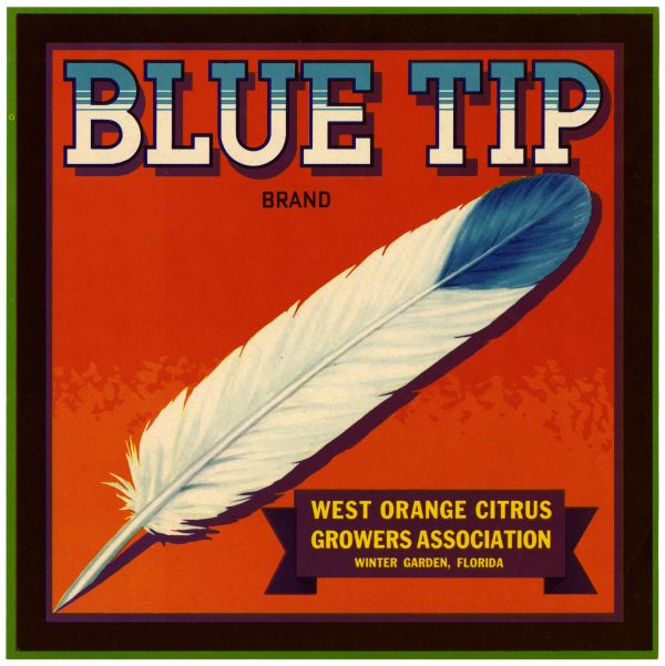 Blue Tip Brand Citrus Label