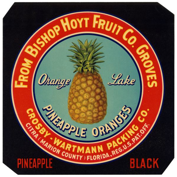 Label for Orange Lake Pineapple Oranges - Black