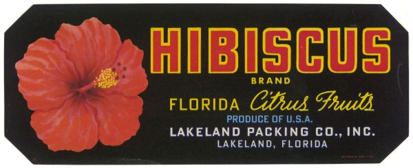 Hibiscus Brand Florida Citrus Fruit Label