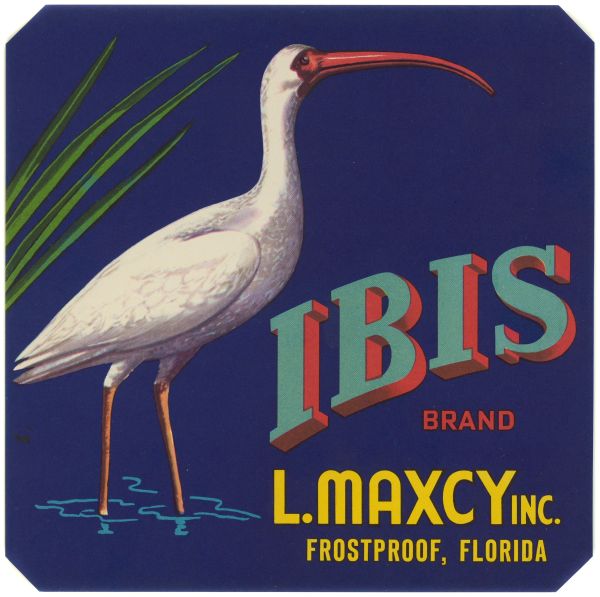 Ibis Brand Fruit Label