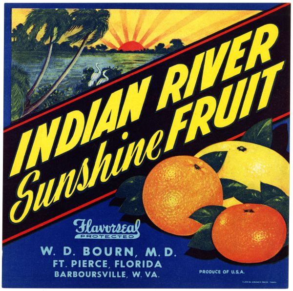 Indian River Sunshine Fruit Citrus Label