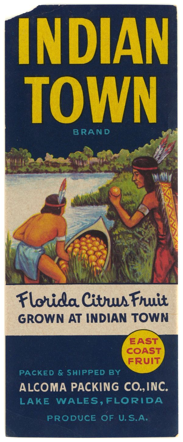 Indian Town Brand Fruit Label