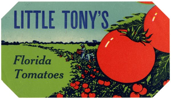 Little Tony's Florida Tomatoes Label