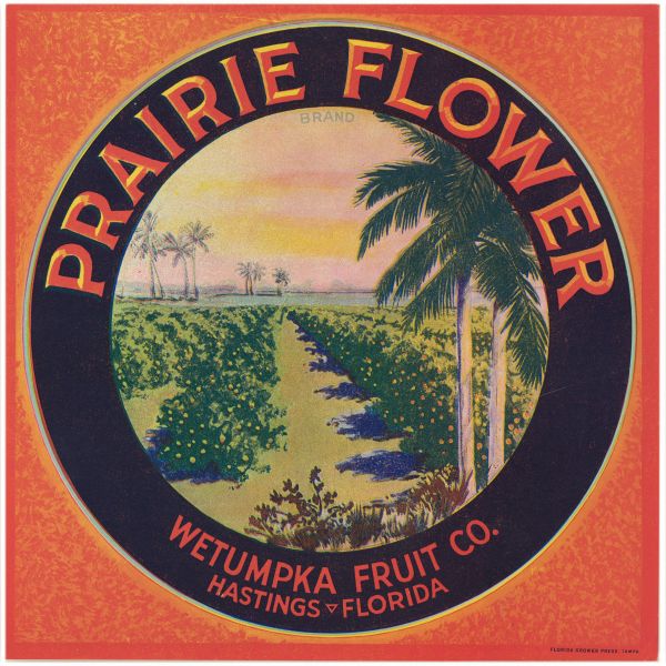 Prairie Flower Brand Fruit Label