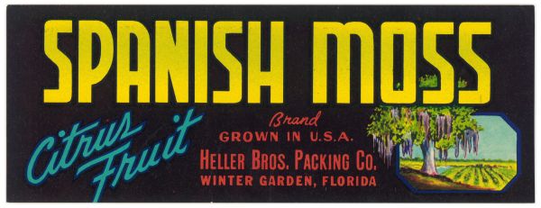 Spanish Moss Brand Citrus Fruit Label