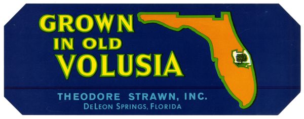 Grown in Old Volusia Orange Label