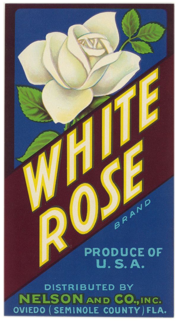 White Rose Brand Citrus Label