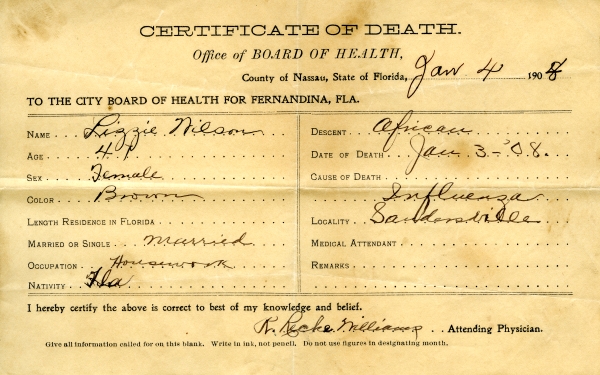 Nelson, Lizzie death certificates