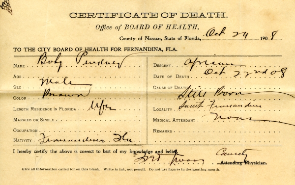 Pinkney, Baby death certificates