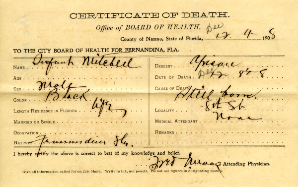 Mitchell, Infant death certificates