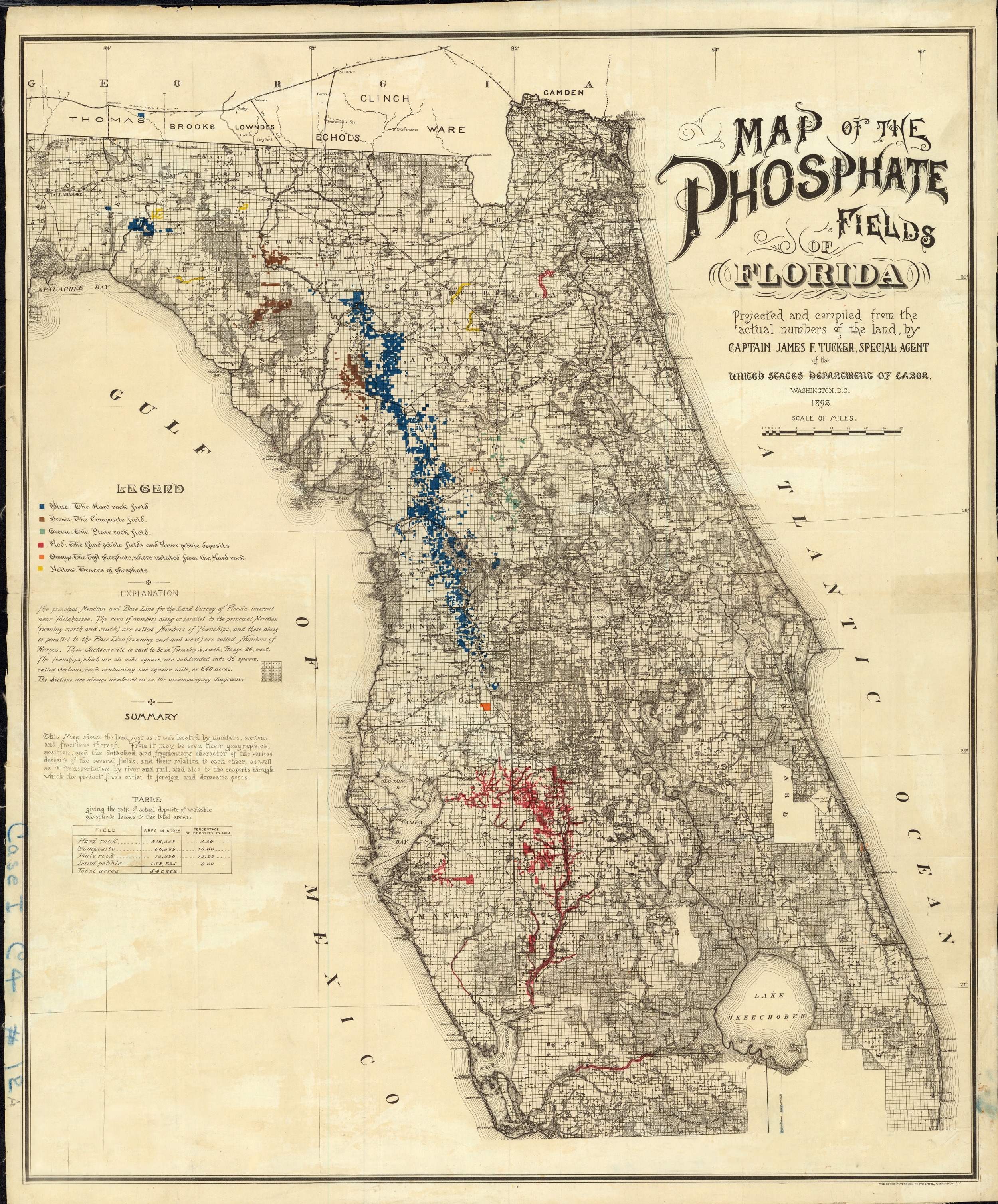 Phosphate Fields of Florida, 1893