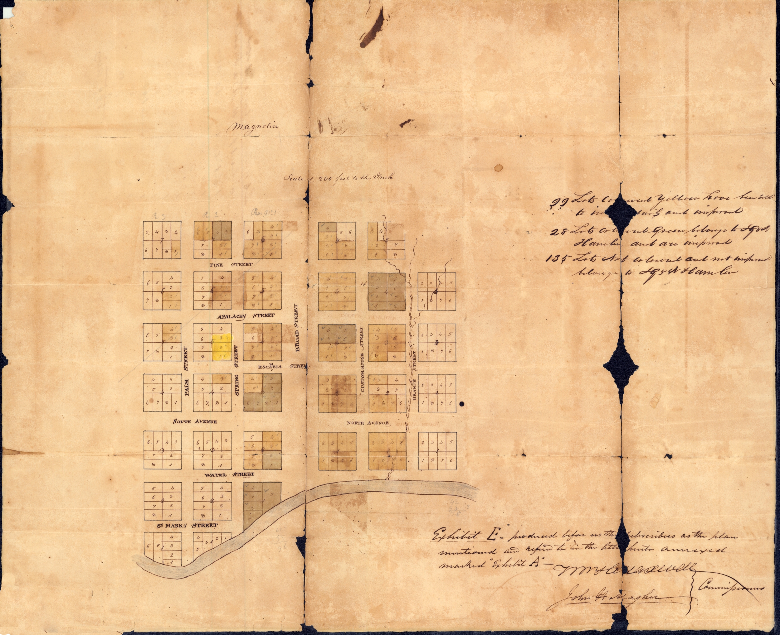 Magnolia and its Vicinity, 1828