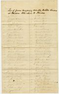 Unnamed Volunteer Militia Company Muster Roll, Alachua County, ca. 1870