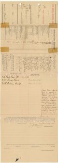 Second Division, First Battalion, Florida Naval Militia Muster Roll, Hillsborough County, 1898