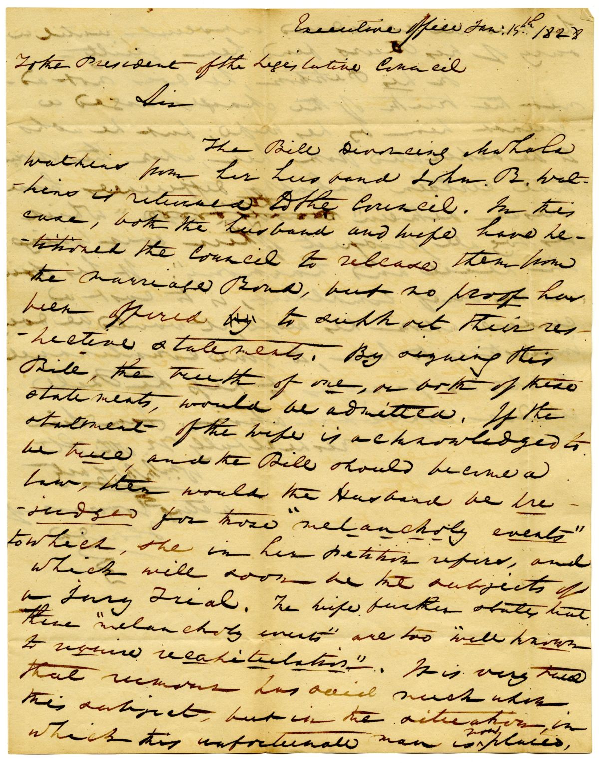 Letter from Acting Governor William McCarty to the President of the Territorial Legislative Council Rejecting the Divorce Bill of the Watkins, 1828