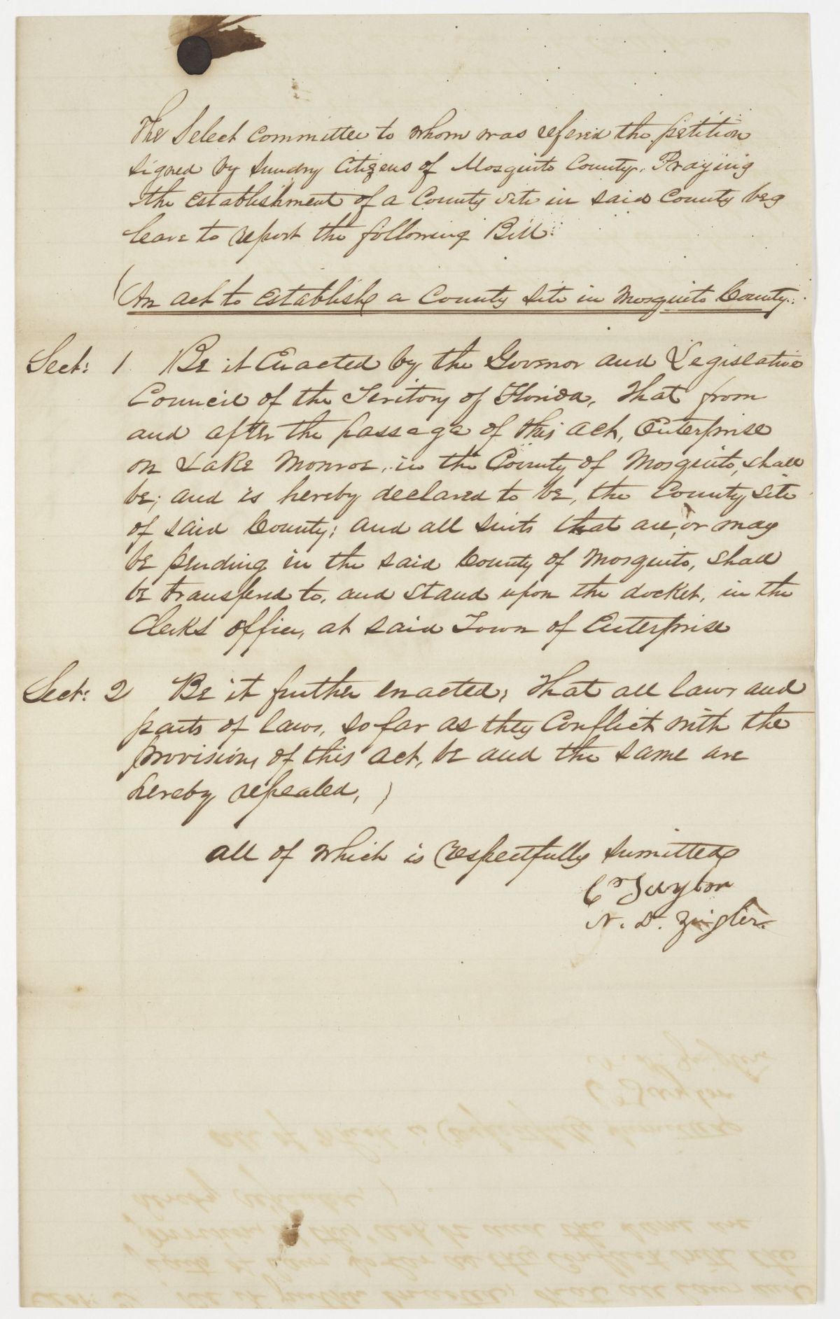 Report of the Select Committee to Whom Was Referred a Petition of Citizens of Mosquito County Requesting a County Seat, circa 1843