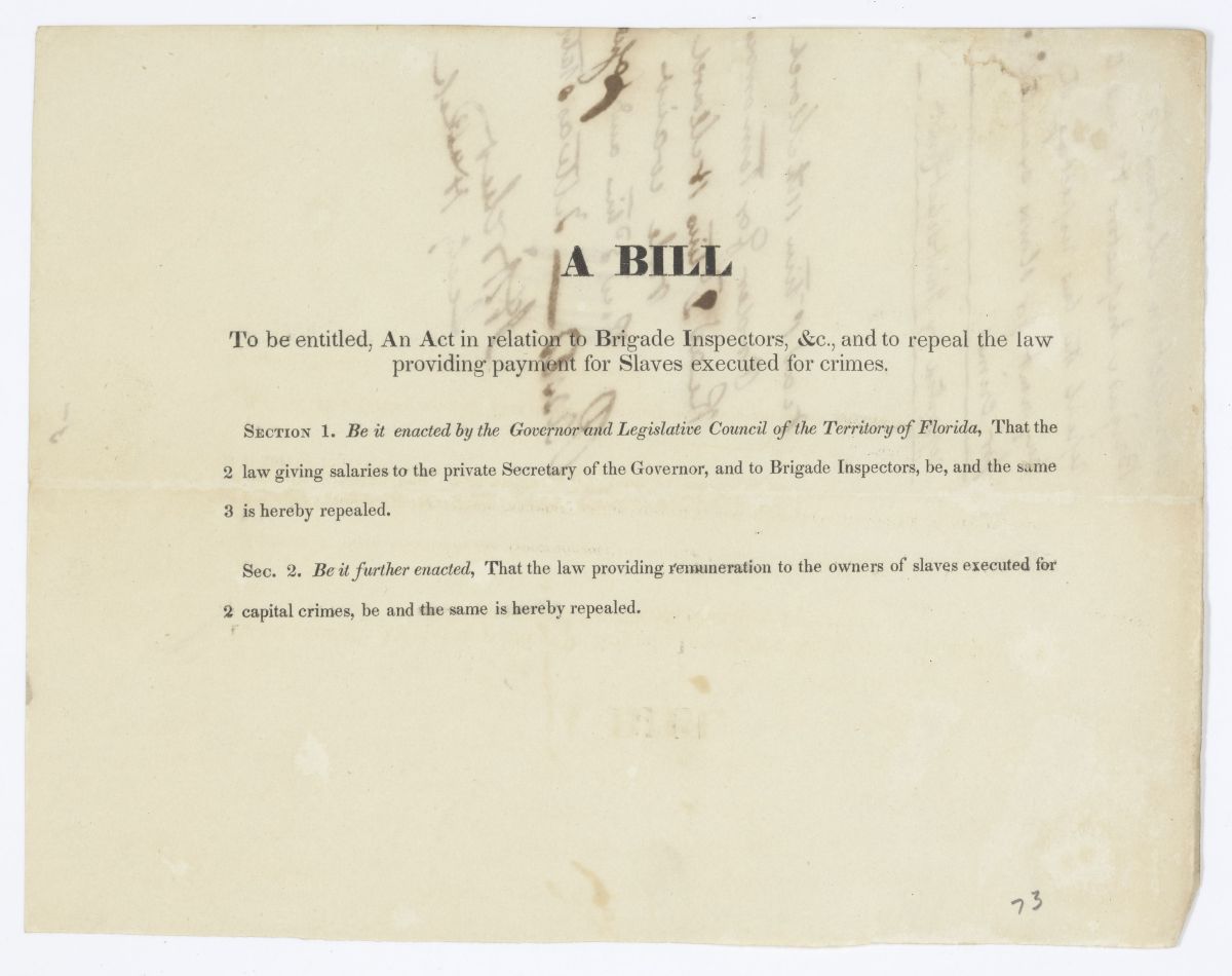 Draft of an Act in Relation to Brigade Inspectors and to Repeal the Law Providing Payment for Enslaved Persons Executed for Crimes, circa 1844