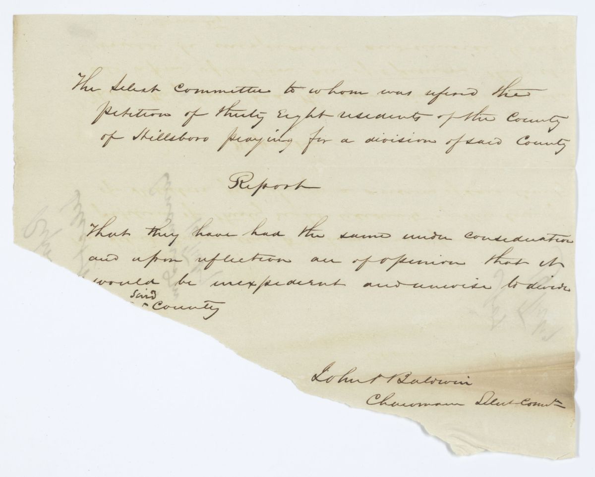 Report of the Select Committee to Whom Was Referred the Petition of Citizens of Hillsborough County, circa 1844