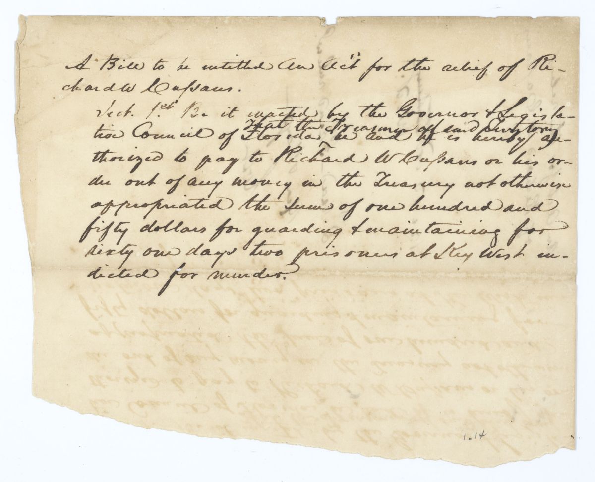 Draft of an Act for the Relief of Richard W. Casson, circa 1830