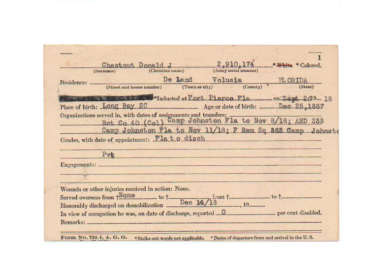 Donald J Chestnut
