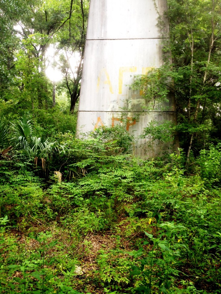 Graffiti from a number of fraternities marks the remnants of the Santos Bridge project (2014).