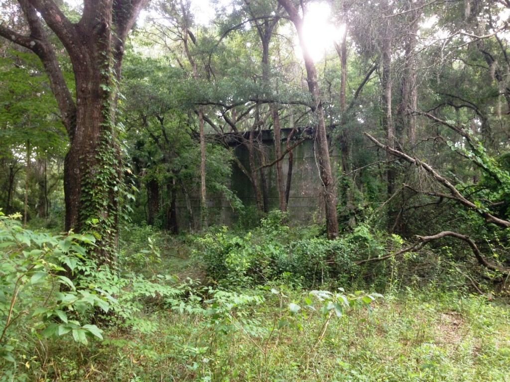 Another concrete megalith peeks out from a tangle of vines and overgrowth at Santos (2014).