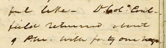 L[ieutenant] Col[onel] [David] Caulfield returned about 9 AM with forty one negro prisoners, having surprised the village, captured the greater part of its inhabitants, and burnt the houses and the property which they could not bring in.