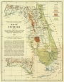 Geological Map of Florida, 1913
