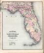 Watson's Florida, 1875