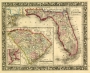 County Map of Florida and South Carolina, 1860