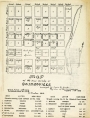 Map of Gainesville, 1853