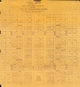 Map of Original Owners of Land in Tallahassee, 1834