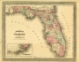 Johnson's Florida, 1863