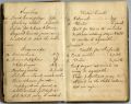 Dr. John M. W. Davidson's Medical Journal, 1843