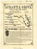 Aurantia Grove Investment Advertisement, circa 1875