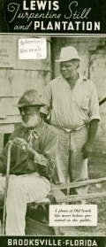 Promotional Brochure for the Lewis Turpentine Still and Plantation in Brooksville, Fla.