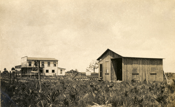 Buildings near Hall City (1915).