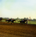 #4 "Careful Manners" crossing the line with jockey J. Nichols during the Governors Match Race at Keeneland in Lexington.