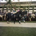 Jockey Jesus Rodriguez with "Sir Sir" at the Hialeah Racetrack.