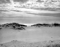 Sand dunes at St. George Island in Franklin County, Florida.