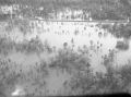 Aerial view of Tallahassee area flood taken by request of Seaboard Air Line Railroad.
