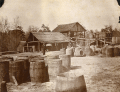 McLeod's turpentine camp on the Ochlockonee River.
