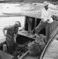 Oystermen bagging oysters in Apalachicola, Florida.