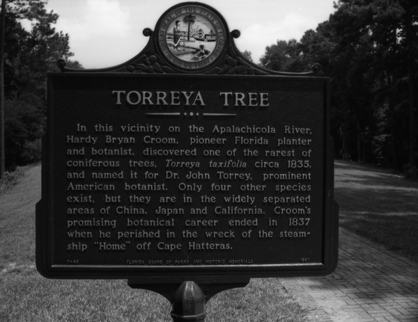 Close-up view of historical marker at the Torreya State Park in Liberty County