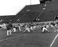 Coach Peterson, back to camera, watching FSU football scrimmage in Tallahassee.