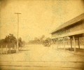 Altamonte Hotel horse-drawn tram approaching its shed at the train depot.