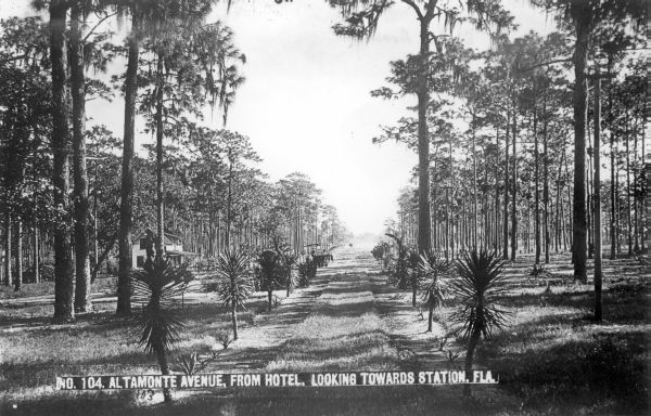 Altamonte Avenue, from hotel, looking towards station.