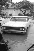 1964 Chevrolet Chevelle sitting in Hurricane Betsy flood waters at the McDonald family house - Key West, Florida.