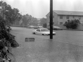 1970 Ford Mustang in flood waters on First Street caused by Hurricane Jeanne - Key West, Florida.