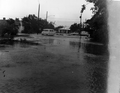 20th St. flooded after Hurricane Betsy in Key West, Florida.